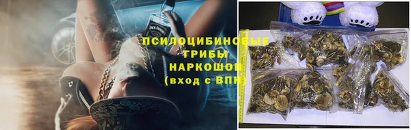 ГАЛЛЮЦИНОГЕННЫЕ ГРИБЫ Богданович