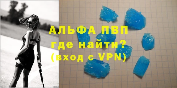 ГАЛЛЮЦИНОГЕННЫЕ ГРИБЫ Богданович