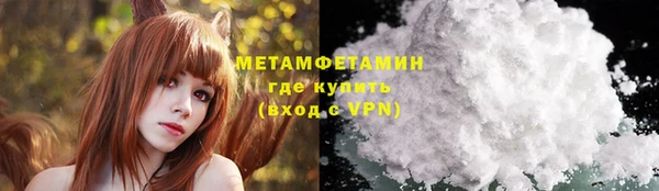 ГАЛЛЮЦИНОГЕННЫЕ ГРИБЫ Богданович