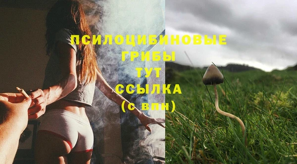 мескалин Богородицк