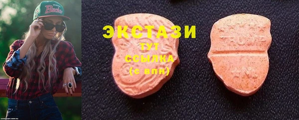ГАЛЛЮЦИНОГЕННЫЕ ГРИБЫ Богданович
