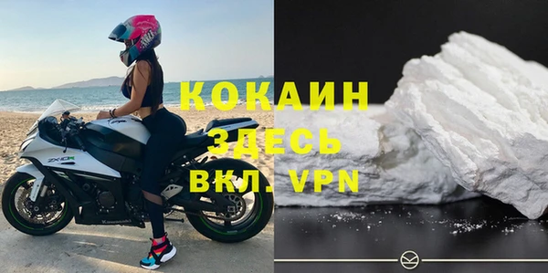 ГАЛЛЮЦИНОГЕННЫЕ ГРИБЫ Богданович